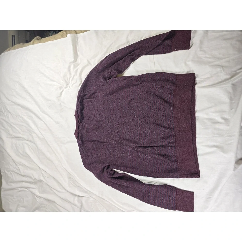Banana‎ Republic Sweater Mens Medium Purple Merino Wool V Neck Stripe Pullover